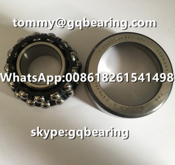 Chrome Steel Material FAG F-234975.06 F-234975.06.SKL-H79 BMW Differential Automotive Bearing