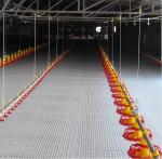 Automatic Broiler Feeders And Drinkers , Plastic Broiler Farm Equipment
