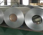 SGCC/Dx51d Z Cold Rolled Galvanized Steel Coil Gi Coil G90 Z275 Hot Dipped