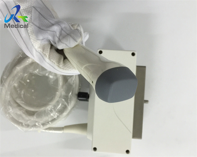 PA122E Phased Array Transducer For Cardiac Abdominal