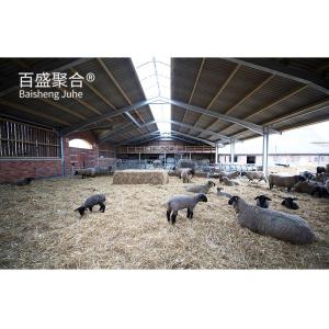 China ISO9001 2008/CE/BV Certified Prefabricated Cowshed for Poultry Sheep Goat and Dairy Farm wholesale