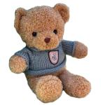 25cm Brown Plush Rag Doll Teddy Bear Girlfriend Birthday Gift