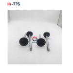 D2366 Diesel Engine Spare Parts Inlet Valve 6504101-0044