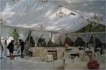 Backyard Transparent Outdoor Party Tents , Clear Party Tent Rentals With Lining