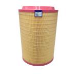 Manufacture Material Sport Vacuum Pump Fuel Filter 21716424 for Other Car