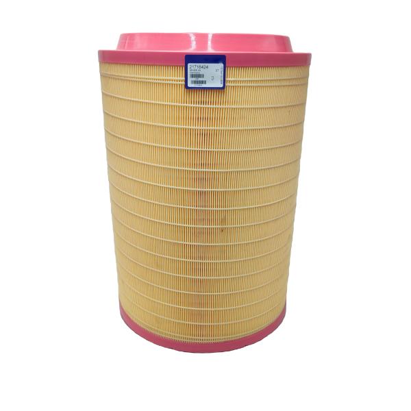 Manufacture Material Sport Vacuum Pump Fuel Filter 21716424 for Other Car