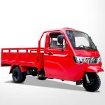 Gasoline Three Wheel Cargo Motorcycle 3 Wheel Motorized Tricycle Chinese Cargo
