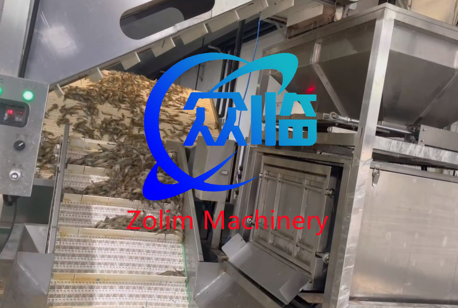 Hot Sale Fish Raw Material Weighing Machine For Weighing Speed 1-18 times/min