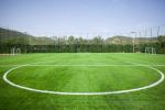 Realistic Fake Artificial Grass Deluxe Synthetic Turf Thick Pet Lawn