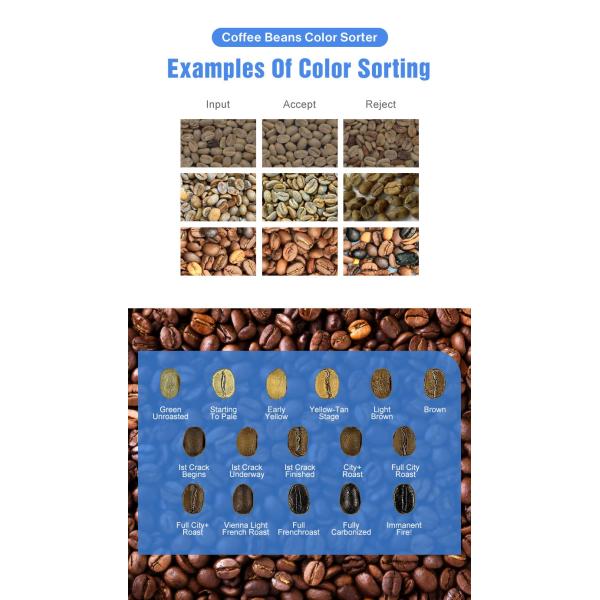 WENYAO Coffee Bean Selecting Machines Coffee Bean Separation AI Optical Sorting Machines