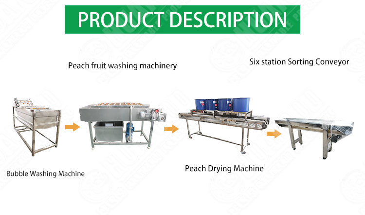 SS304 Vegetable And Fruit Washing Machine Mango Processing Line