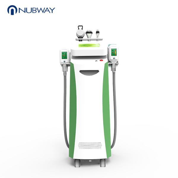 CE / FDA 5 cryo treatment handles cryo sculpture slim physiotherapy weight loss
