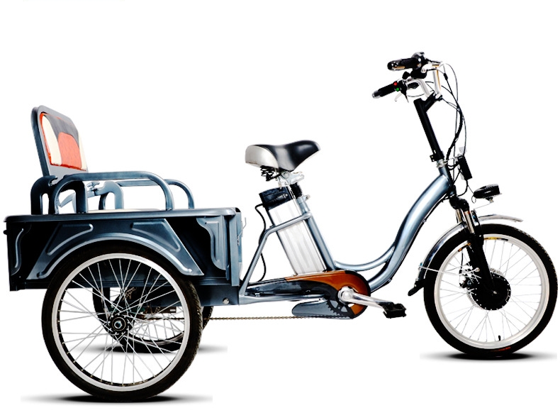 Adult 3 Wheel Electric Tricycle 48V 250W Motor Three Wheel Electric Cargo Bike