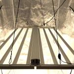 IP65 ETL 600 Watt Grow Light For Indoor Plants