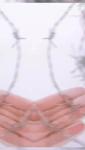 Guaranteed Quality Unique Galvanized Barbed Wire 50 KG Per Roll GI Barbed Wire