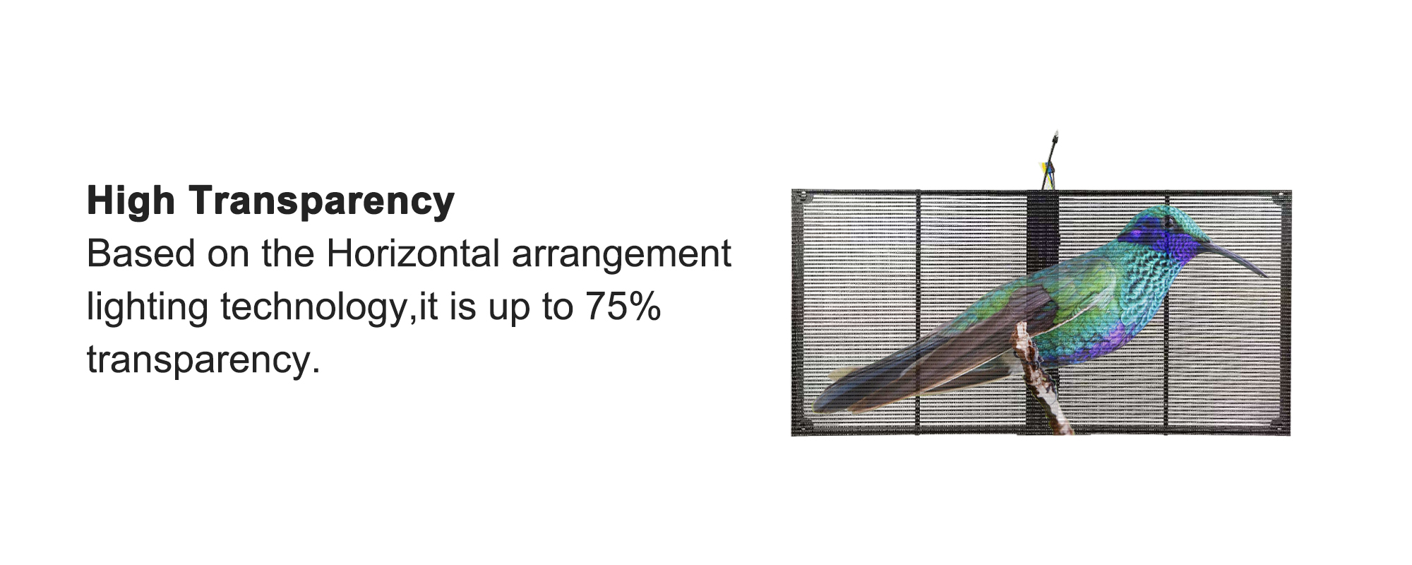 1000*1000mm Panel Size P3.91 7.82mm Glass Window LED Display 32768dots/sqm