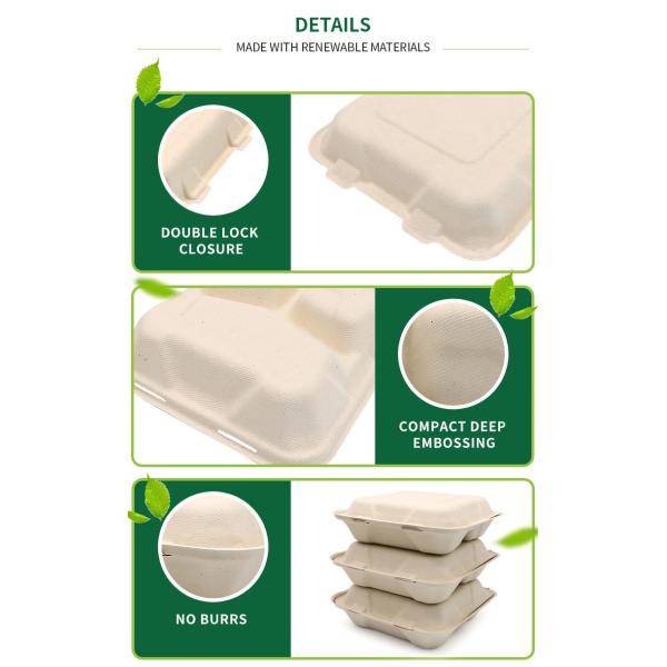8Inch Clamshell Food Containers Compostable Bagasse Food Box