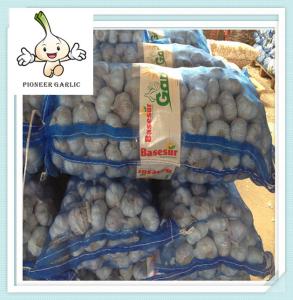 China Fresh Garlic Wholesale Fresh China Garlic best design new model fresh garlic wholesale