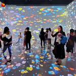 Indoor Fun Center Equipment Gameplay AR Interactive Wall Projection Games