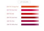 Safe Phoenix Tattoo Pigment Organic Tattoo Ink 55g Permanent Makeup Pigments