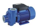 Small Electric Centrifugal Water Pump 1hp For House Watering Sewage Water Pumps