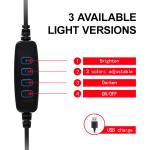 Selfie Oval Beauty Fill Light 5W USB Stepless Dimmable Lamp With Mirror Live
