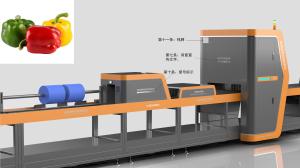 China 1 Channel Vegetable Sorting Machine Stainless Steel Robot Type For Bell Pepper wholesale