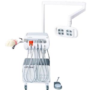 China Dental Training Model Simulator Head Training System Dental School Dental Simulation Phantom Head wholesale