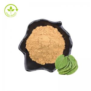 China Wholesale Pure Icariin Bulk Price Epimedium Extract Icariin Powder 98% wholesale