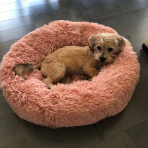 China Fluffy Brown Pink Anti Anxiety Dog Bed 50cm 60cm 70cm Diameter Dog Mattress Bed Calming Dog Bed Donut Cat Bed wholesale