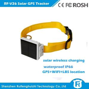 China Reachfar rf-v26 mini waterproof solar gps tracker animal suitable for cattle/cow tracking wholesale