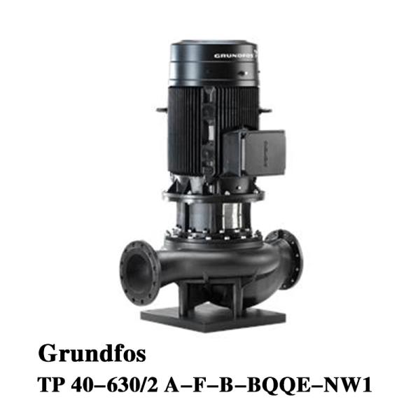Grundfos TP 40-630/2 Single-stage volute pump Main Circulating Pumps for Large Commercial Air Conditioning Systems