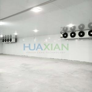 China 0 Celcius Walk in Freezer Chiller/Cool/Cold Storage Room Warehouse for Fresh Onion/Potato/Fruit/Vegetab wholesale