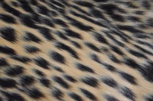 China leopard print Mixed Jacquard Long Haired Fur Fabric Acrylic Fake Mink wholesale