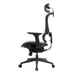 ISEE Double Spilt Back Lumbar Support Swivel Ergonomic Mesh Office Chairs