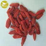 Himalayan Goji Berry new crop Certified High Quality Lower price Dried Organic