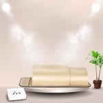 Home Spa Personal Red Light Infrared Sauna Dome Therapy Bed Portable 180x80