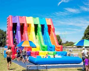 China Commercial Kids Inflatable Water Slide Playground Jumping Bouncer wholesale
