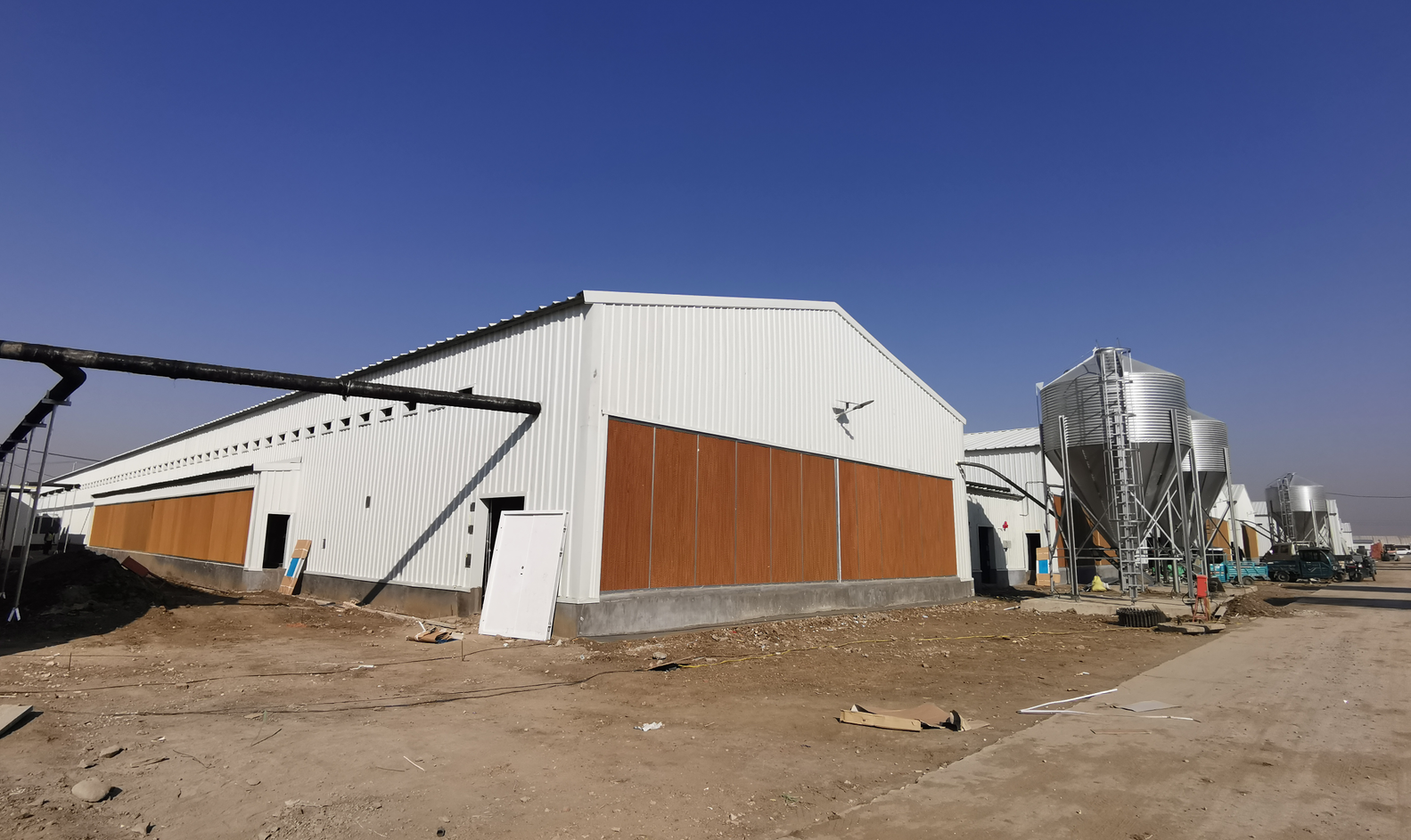 Q235B Galvanized Steel Structure Poultry House Bolts Connection Steel Chicken Houses