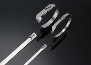 China Durable 304 Stainless Steel Cable Ties Metal Tie Wraps 100pcs / Pkt 4.6 X 250 Mm wholesale