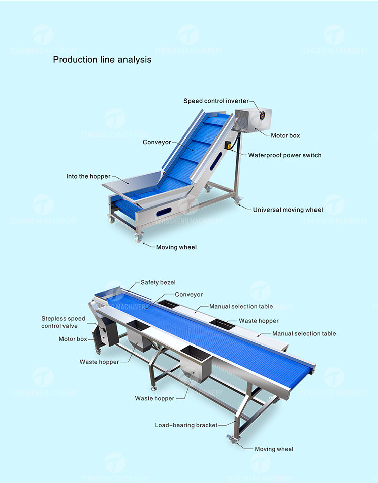 Multifunctional Fruit Sorting Machine Vegetable Washing Drying Production Line