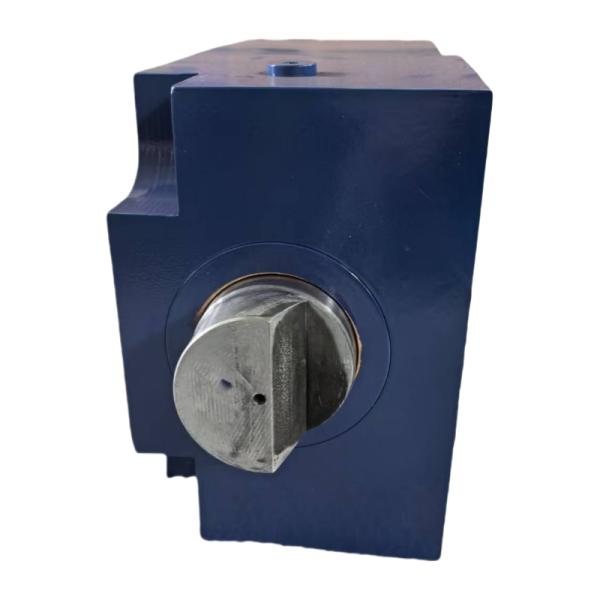 Customized Lock Hydraulic Cylinder for Engineering Machinery Industrial Equipment