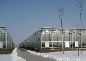 China PC Sheet Covered Multi Span Greenhouse Venlo Type Strong Light Transmission wholesale