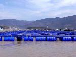 HDPE Pipe Pontoon Fish Farming Cage 200mm/250mm/450mm/500mm In Lake Or Pond