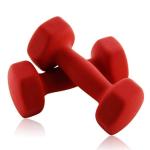 Cast Iron Neoprene Fitness Dumbbell Vinyl Dipped Dumbbells For Weight Exercise