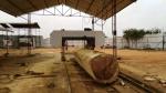 55Kw 2500mm Large Bandsaw Mill Heavy Duty Electric Bandsaw Mill