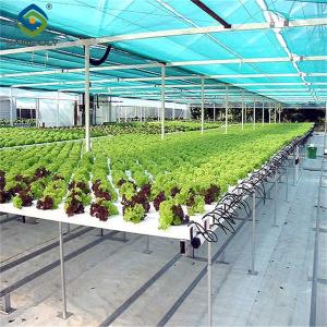 China Easy Installation Customized Agricultural Greenhouses With LED Lighting wholesale