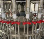Complete Fruit Juice Production Line Gravity Filling Fruit Juice Bottle Filling
