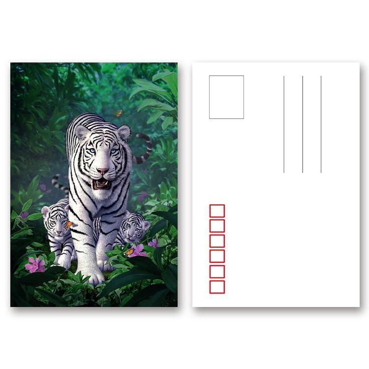 Tear - Proof 3D Animal Postcard Custom Tiger Design Printing Size 11x16cm