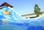 SS Fastener Aqua Park Equipment Swing Water Slide Ashland / DSM Resin